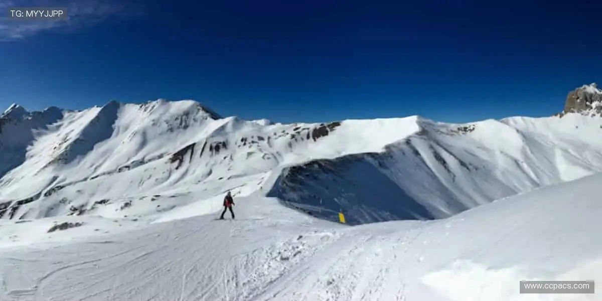 全球直播，与你同步心跳！📺👀